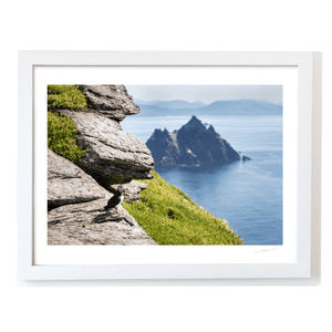 puffin-skellig-michael-little-skellig-view-2 WF