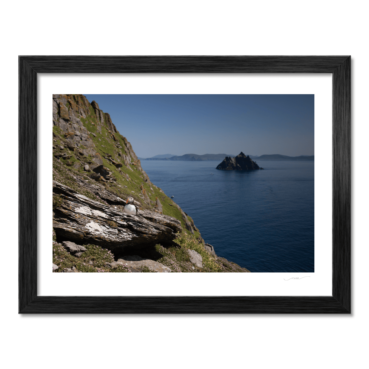 puffin-skellig-michael-little-skellig-view PM