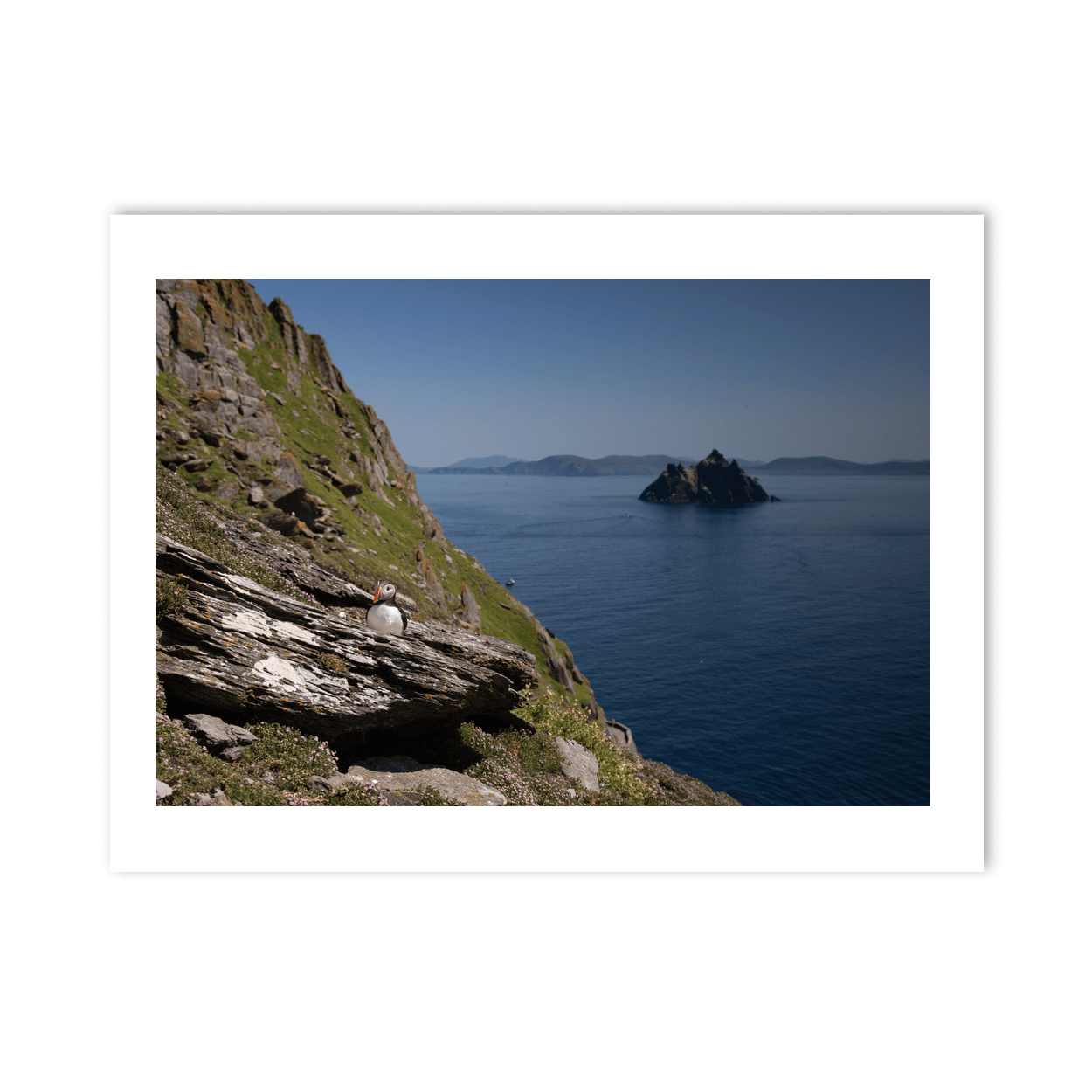 puffin-skellig-michael-little-skellig-view PM