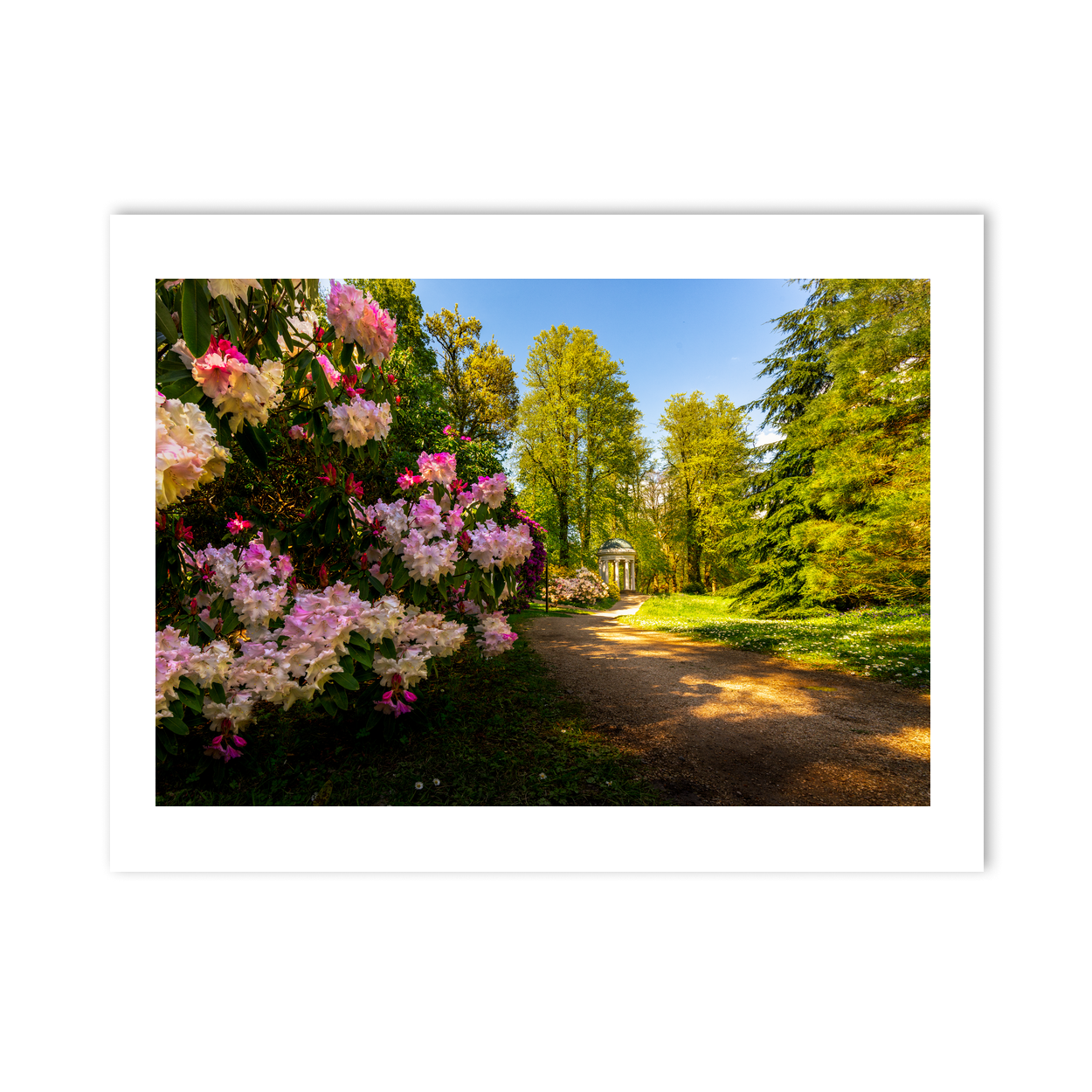 rhododendron-garden-path-classical-temple PM