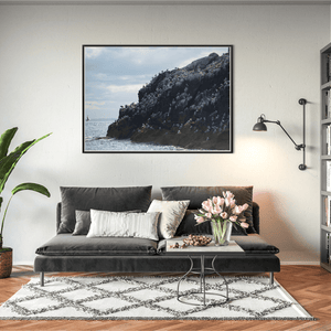 Nua Photography Print Rockabill Lighthouse Seabird Colony, Skerries Co. Dublin Rockabill Seabird Colony Print | Nua Photography