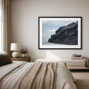 Nua Photography Print Rockabill Lighthouse Seabird Colony, Skerries Co. Dublin Rockabill Seabird Colony Print | Nua Photography
