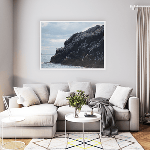 Nua Photography Print Rockabill Lighthouse Seabird Colony, Skerries Co. Dublin Rockabill Seabird Colony Print | Nua Photography