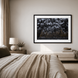 Nua Photography Print Rockabill Lighthouse Seabird Colony on Rocky Cliffs, Co. Dublin Rockabill Seabird Colony Cliffs Print | Nua Photography