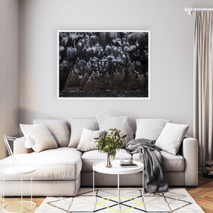 Nua Photography Print Rockabill Lighthouse Seabird Colony on Rocky Cliffs, Co. Dublin Rockabill Seabird Colony Cliffs Print | Nua Photography