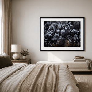 Nua Photography Print Rockabill Lighthouse Seabird Colony on the Cliffs, Co. Dublin Rockabill Seabird Colony Print | Nua Photography