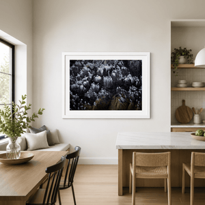 Nua Photography Print Rockabill Lighthouse Seabird Colony on the Cliffs, Co. Dublin Rockabill Seabird Colony Print | Nua Photography