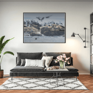Nua Photography Print Rockabill Lighthouse Seal and Seabirds, Skerries Co. Dublin Rockabill Seal & Seabirds Print | Nua Photography