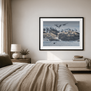 Nua Photography Print Rockabill Lighthouse Seal and Seabirds, Skerries Co. Dublin Rockabill Seal & Seabirds Print | Nua Photography