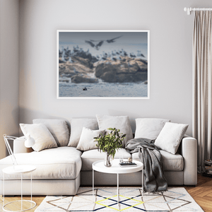 Nua Photography Print Rockabill Lighthouse Seal and Seabirds, Skerries Co. Dublin Rockabill Seal & Seabirds Print | Nua Photography
