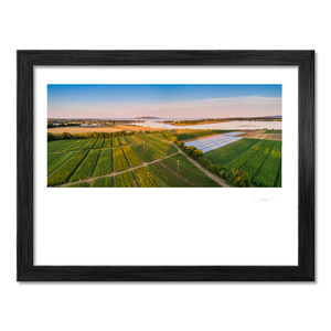 rogerstown-estuary-from-the-fields-aerial BF