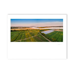 rogerstown-estuary-from-the-fields-aerial PM