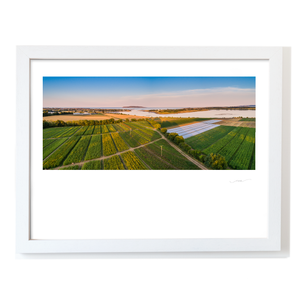rogerstown-estuary-from-the-fields-aerial WF