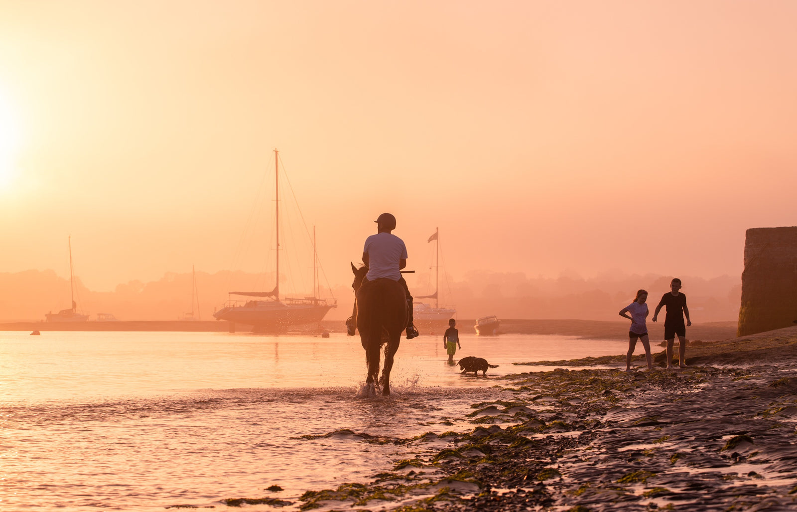 Rogerstown Horse, limited 16 x 12 inch Nua Photography print