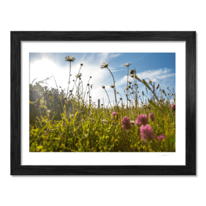 Nua Photography Print Round Tower Through Summer Wildflower Meadow, Portrane Co. Dublin Round Tower Wildflower Meadow Portrane | Nua Photography