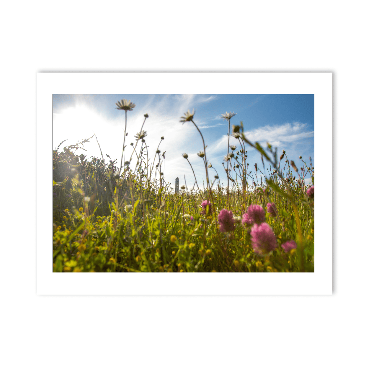 Nua Photography Print Round Tower Through Summer Wildflower Meadow, Portrane Co. Dublin Round Tower Wildflower Meadow Portrane | Nua Photography
