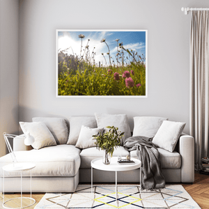 Nua Photography Print Round Tower Through Summer Wildflower Meadow, Portrane Co. Dublin Round Tower Wildflower Meadow Portrane | Nua Photography