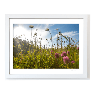 Nua Photography Print Round Tower Through Summer Wildflower Meadow, Portrane Co. Dublin Round Tower Wildflower Meadow Portrane | Nua Photography
