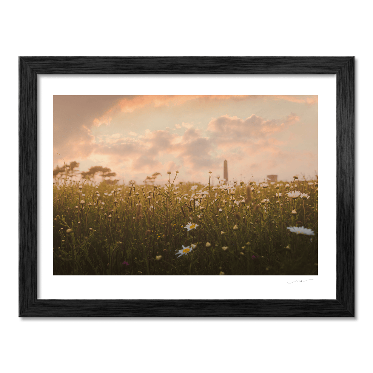 Nua Photography Print Round Tower Through Wildflower Meadow at Sunset, Portrane Co. Dublin Portrane Round Tower Wildflower Meadow Sunset | Nua | Nua