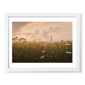 Nua Photography Print Round Tower Through Wildflower Meadow at Sunset, Portrane Co. Dublin Portrane Round Tower Wildflower Meadow Sunset | Nua | Nua