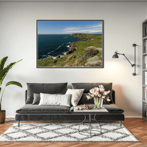 saltee-islands-rugged-coastline-summer BFW