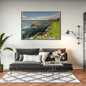 saltee-islands-seabird-colony-rugged-coast BFW