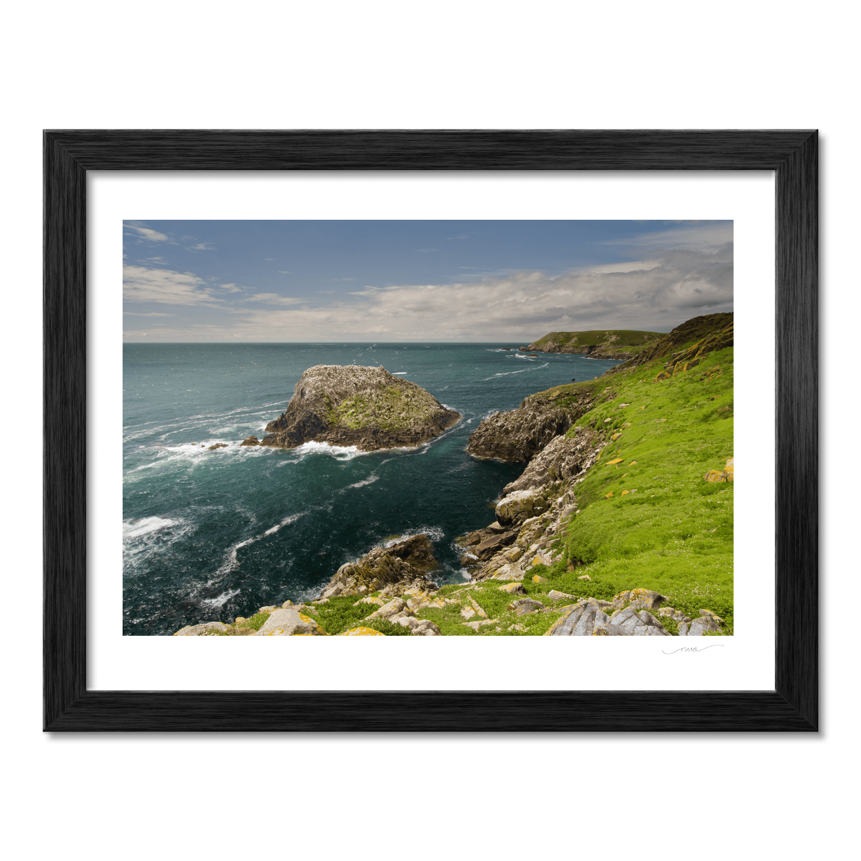 saltee-islands-seabird-colony-rugged-coast PM