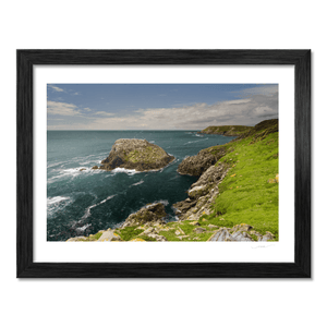 saltee-islands-seabird-colony-rugged-coast BF