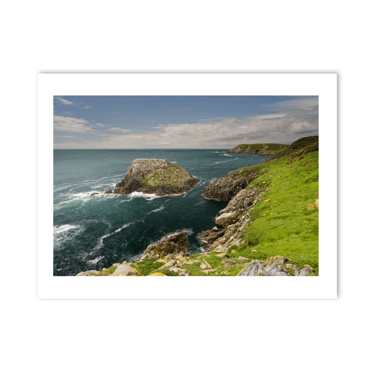 saltee-islands-seabird-colony-rugged-coast PM