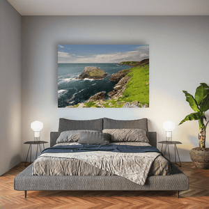 saltee-islands-seabird-colony-rugged-coast Pano