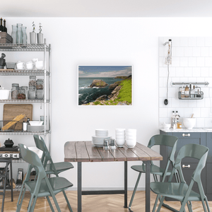 saltee-islands-seabird-colony-rugged-coast WFA3