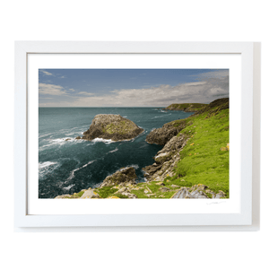 saltee-islands-seabird-colony-rugged-coast WF