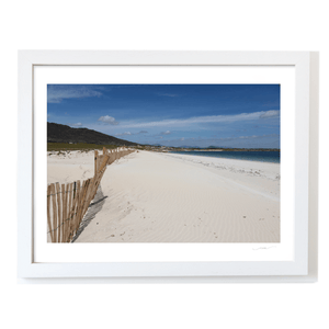 sand-fencing-gurteen-beach-roundstone WF