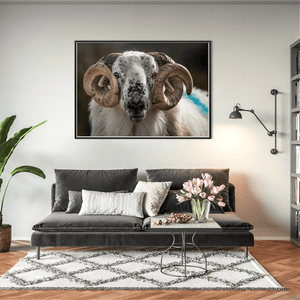 scottish-blackface-ram-portrait-kerry BFW