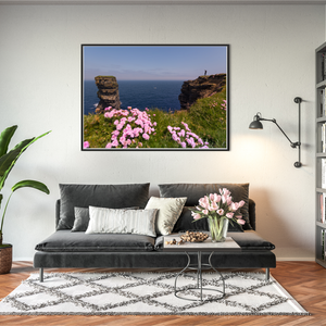 sea-stack-pink-thrift-wildflowers-cliffs BFW