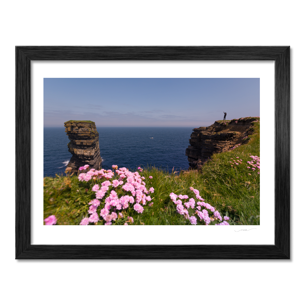 sea-stack-pink-thrift-wildflowers-cliffs PM