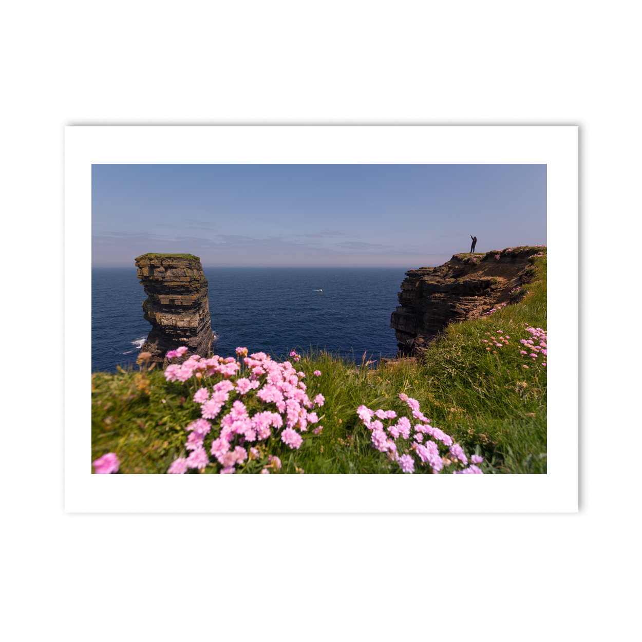 sea-stack-pink-thrift-wildflowers-cliffs PM