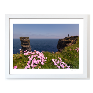 sea-stack-pink-thrift-wildflowers-cliffs WF
