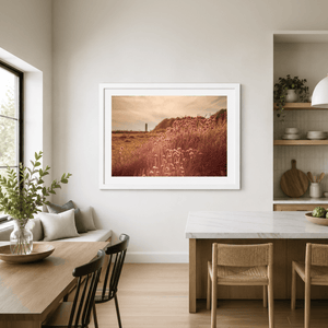 Nua Photography Print Sea Thrift Wildflowers at Golden Hour, Portrane Co. Dublin Sea Thrift Portrane Golden Hour Print | Nua Photography