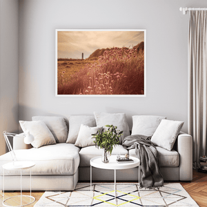 Nua Photography Print Sea Thrift Wildflowers at Golden Hour, Portrane Co. Dublin Sea Thrift Portrane Golden Hour Print | Nua Photography