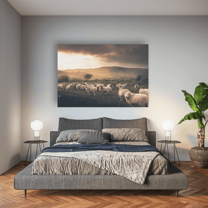 sheep-flock-cooley-mountains-dramatic-sky Pano