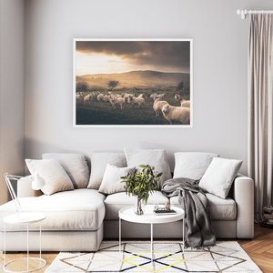 sheep-flock-cooley-mountains-dramatic-sky WFW