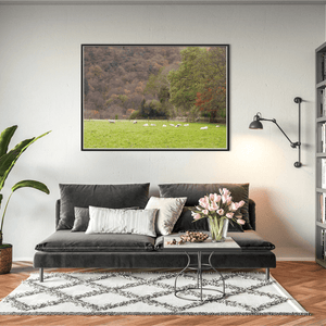 sheep-grazing-autumn-woodland-valley BFW