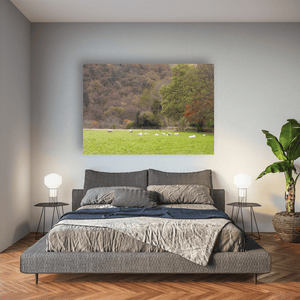 sheep-grazing-autumn-woodland-valley Pano