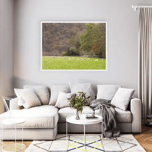 sheep-grazing-autumn-woodland-valley WFW