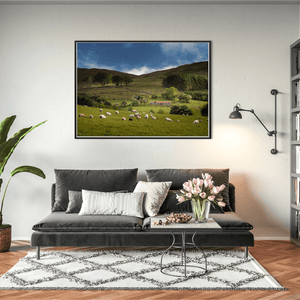 sheep-grazing-mourne-mountains-summer BFW