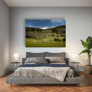 sheep-grazing-mourne-mountains-summer Pano