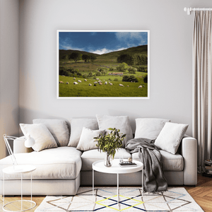 sheep-grazing-mourne-mountains-summer WFW