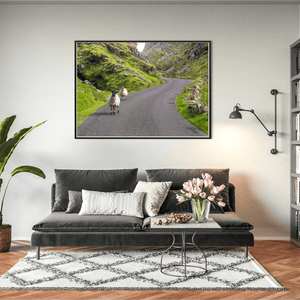 sheep-on-winding-mountain-road-gap-of-dunloe BFW