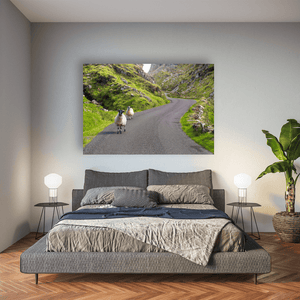 sheep-on-winding-mountain-road-gap-of-dunloe Pano